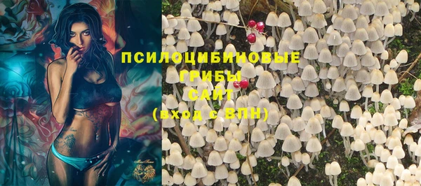 дурь Богданович