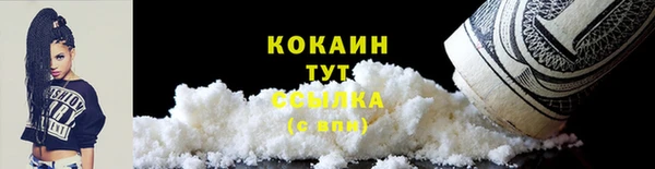 соль ск Богородск