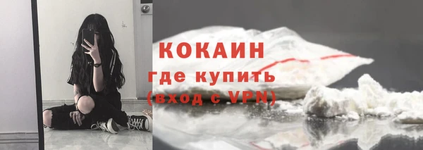 дурь Богданович