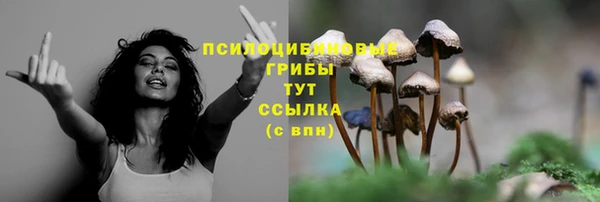 дурь Богородицк
