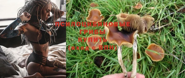 дурь Богородицк