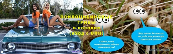 дурь Богданович