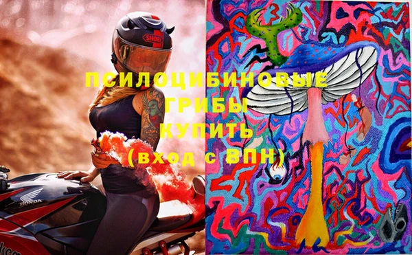 дурь Богородицк