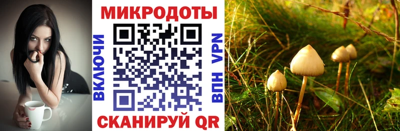 кракен вход  Короча  Галлюциногенные грибы ЛСД 