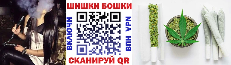 где найти   KRAKEN   Канабис планчик  Короча 